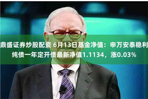 鼎盛证券炒股配资 6月13日基金净值：申万安泰稳利纯债一年定开债最新净值1.1134，涨0.03%